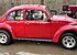 1974 Volkswagen Beetle for sale 101123223